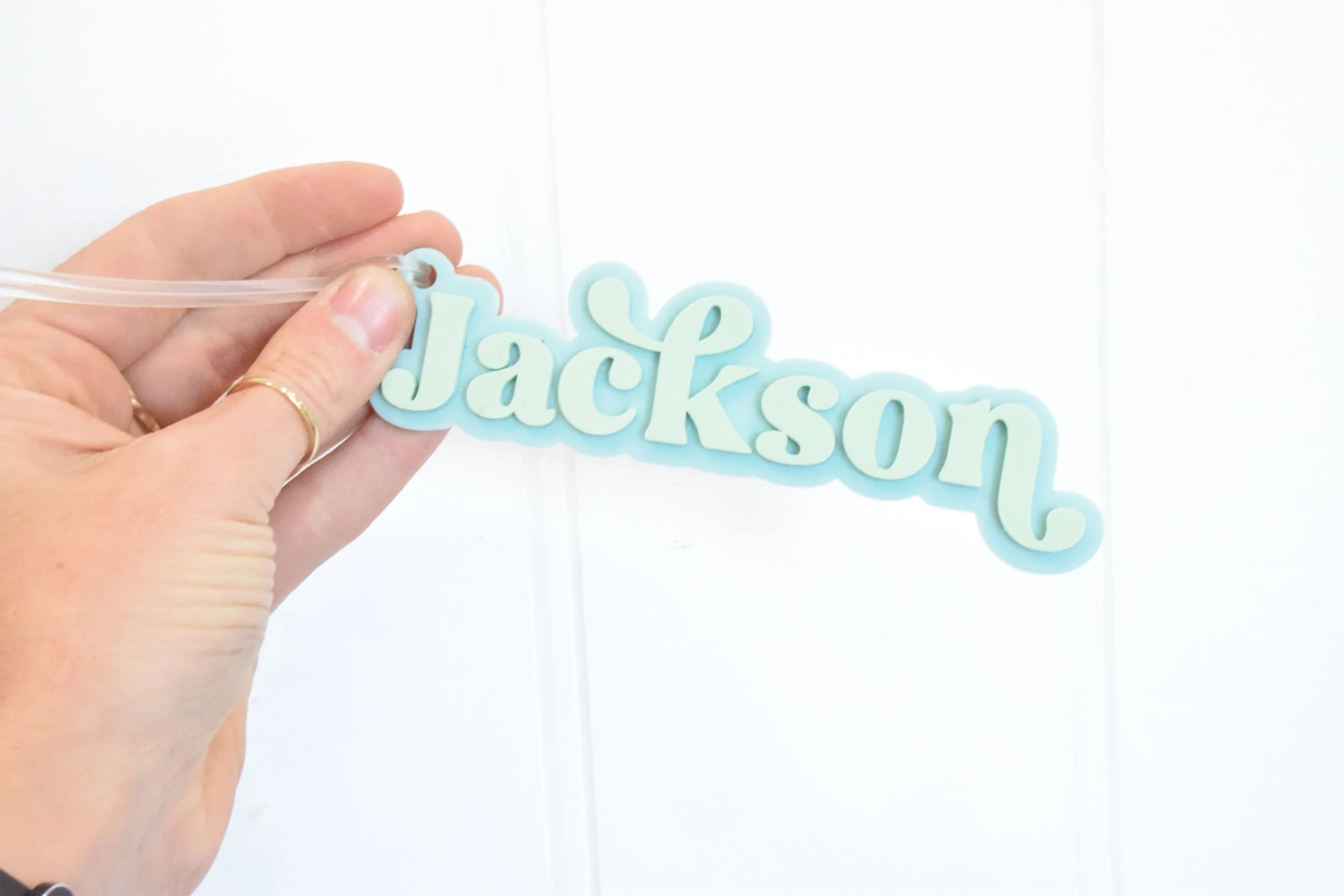 jackson bag tag