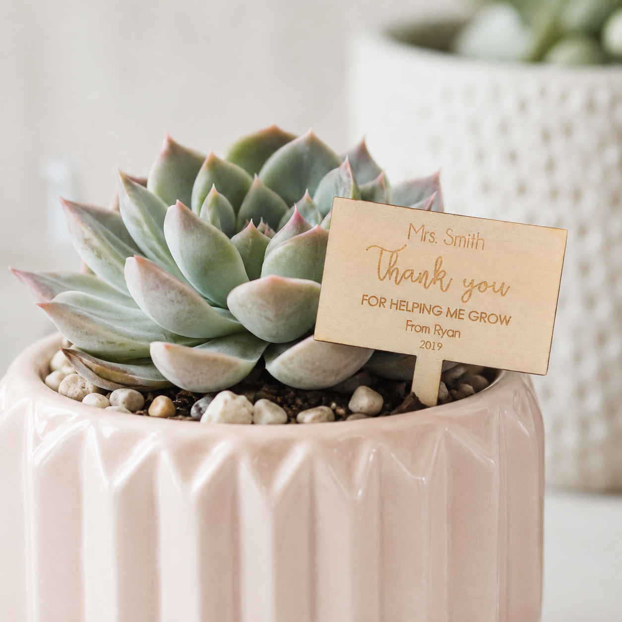 small plant sign for teacher gift