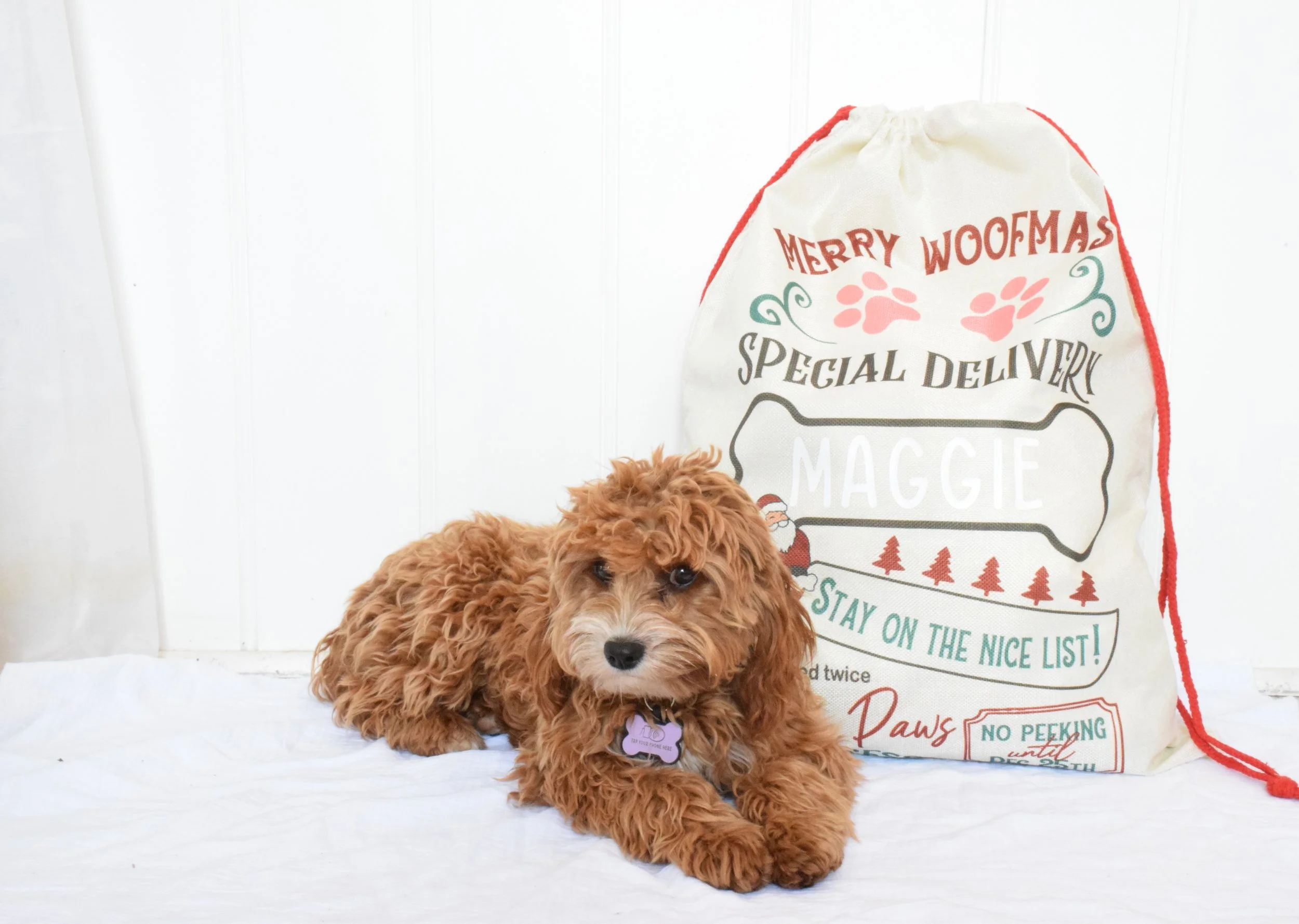 Personalised doggy santa sack