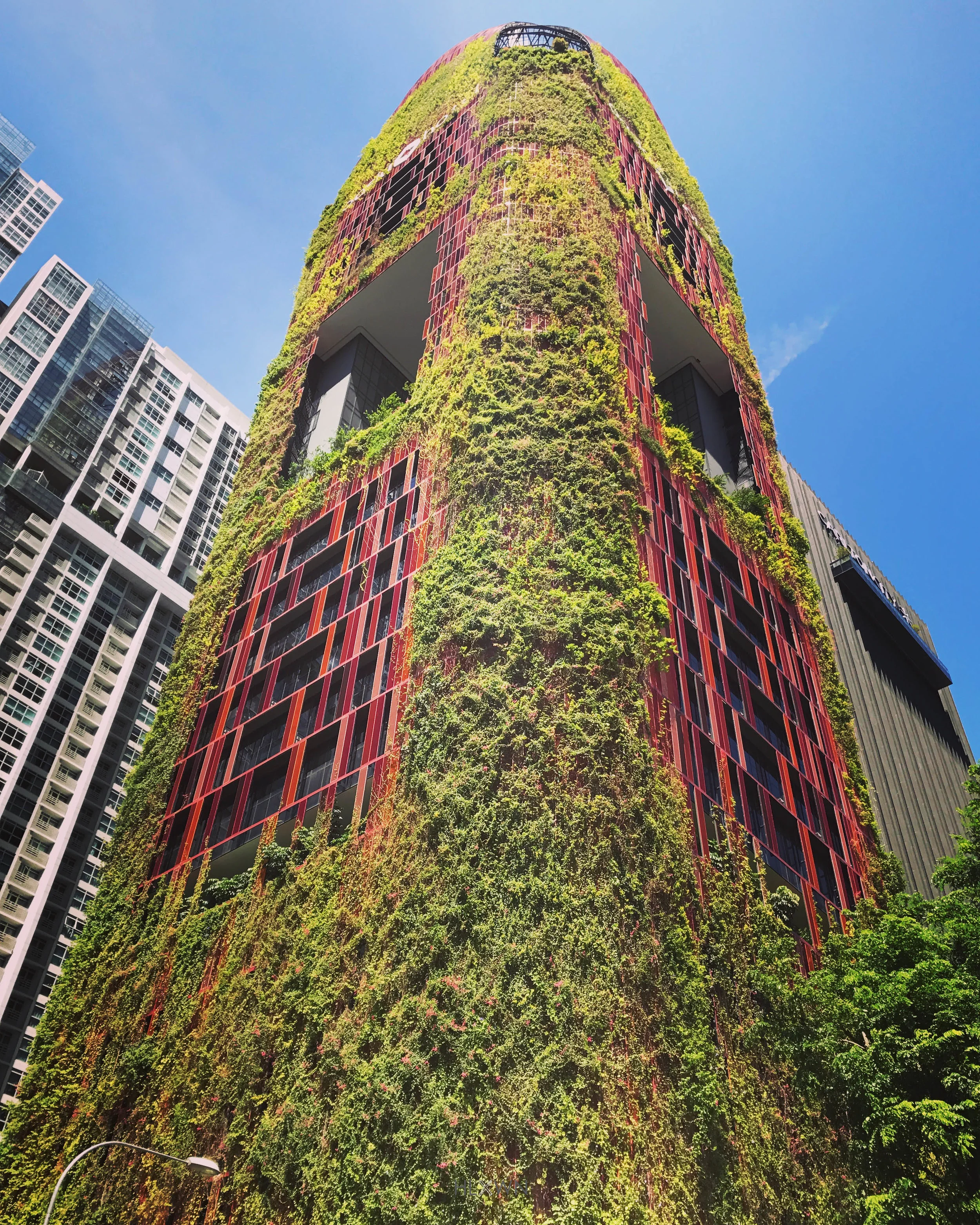Oasia Hotel Downtown