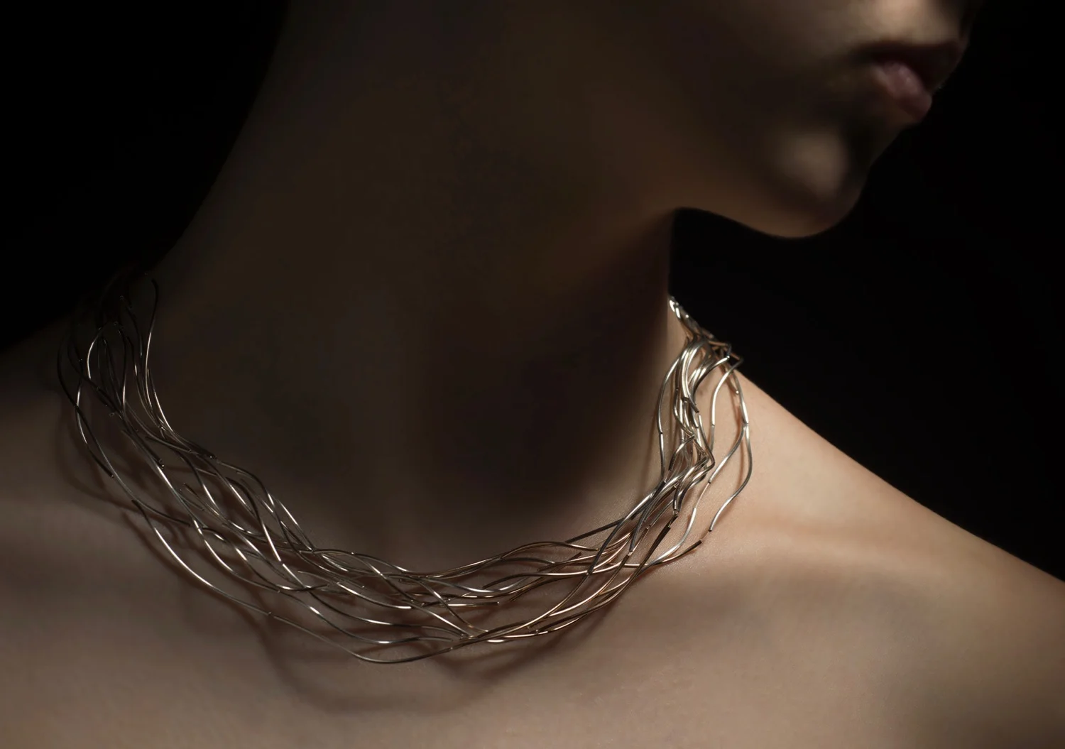 2010 National Contemporary Jewellery Award finalist. Wild Grasses in sterling silver, 9ct gold + nylon. SIG