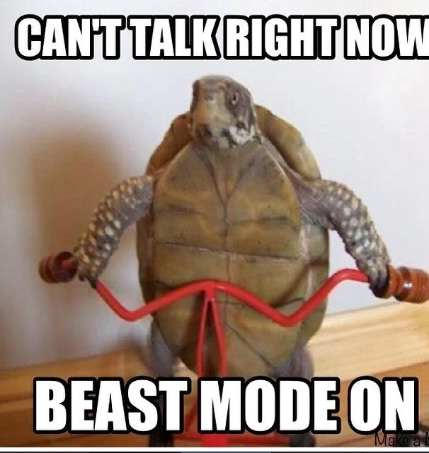 beast mode on.jpg