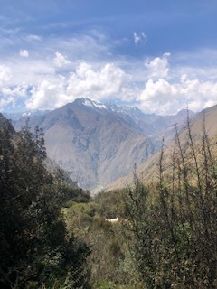 IMG_0885.jpg