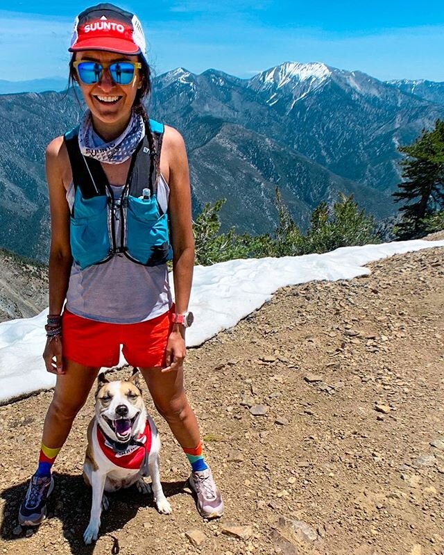 Not only will Juniper pose for pictures on demand but she&rsquo;ll even, while you&rsquo;re not looking, chew a hole through anything that may be holding her treats hostage. 
My @salomonrunning pack has a nice new patch on it 😒 
Lesson learned. 
Can