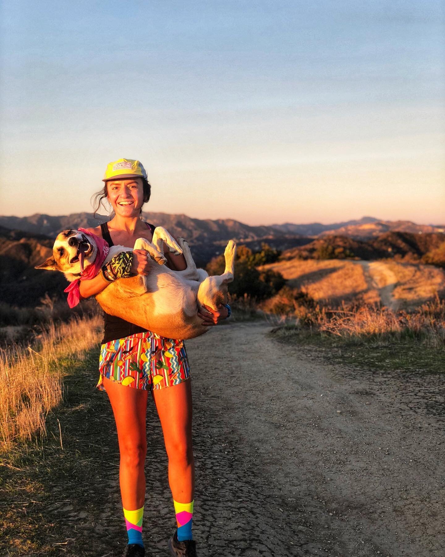 Taking a paw-se and celebrating national dogs day with this girl. 
She&rsquo;s a tongue out, snuggle demander, treat gobbler, mountain climber, sweat licker girl! 
You mutt-er to me, today and everyday! 
#theadventuresofjuniper 
#adoptdontshop