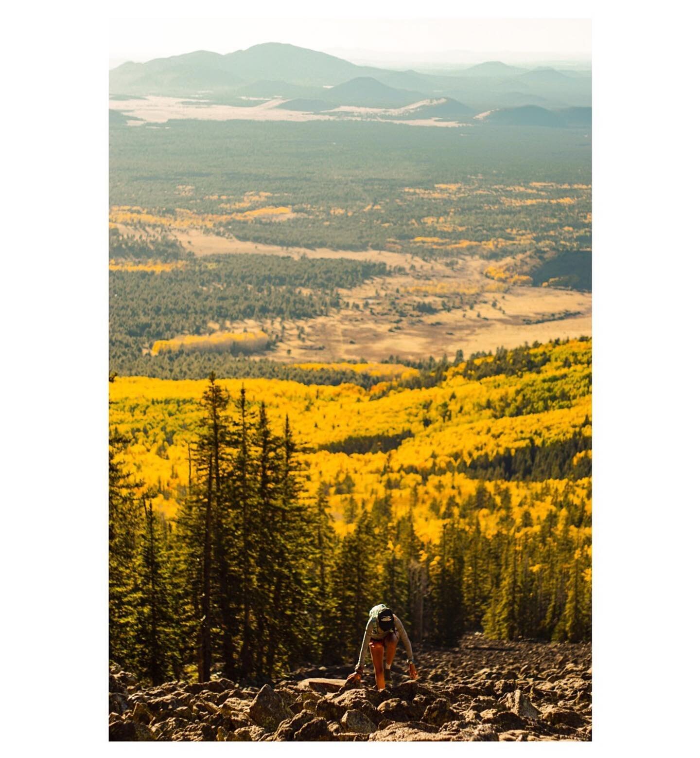 Fall in Flagstaff.
A nice little throwback to some of the best leaf peeping I&rsquo;ve ever experienced.
If pumpkin spice was a filter🍂🍁
October 2017
#tbt