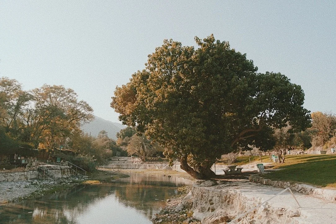 North of Israel #001