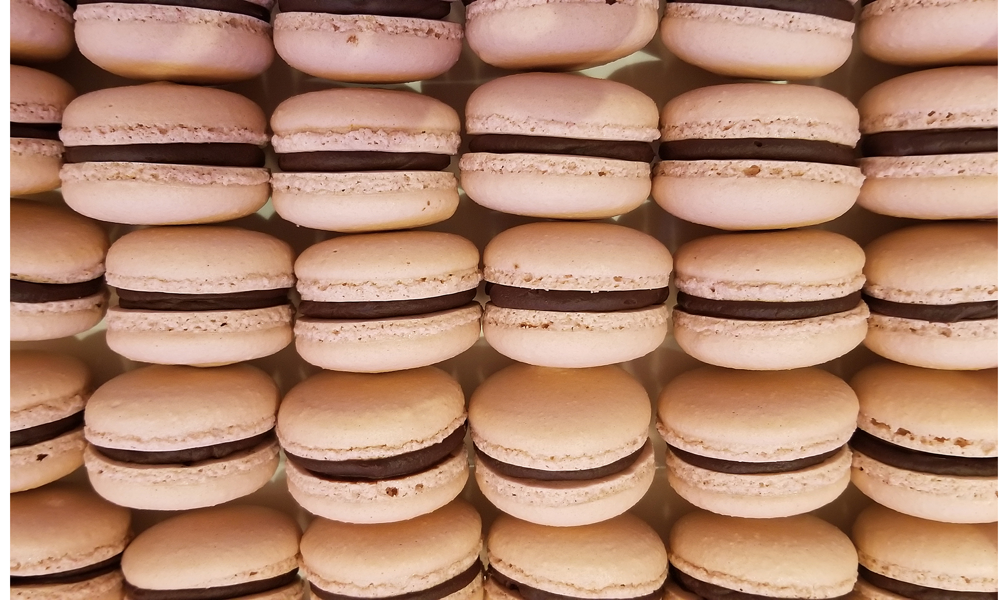 Mocha Macarons