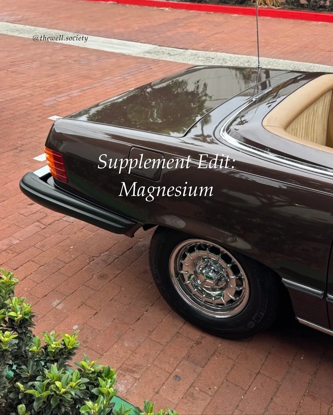 Our magnesium recommendations this Fall. 

#wellness #supplementroutine #fallroutine #seasonalaffectivedisorder