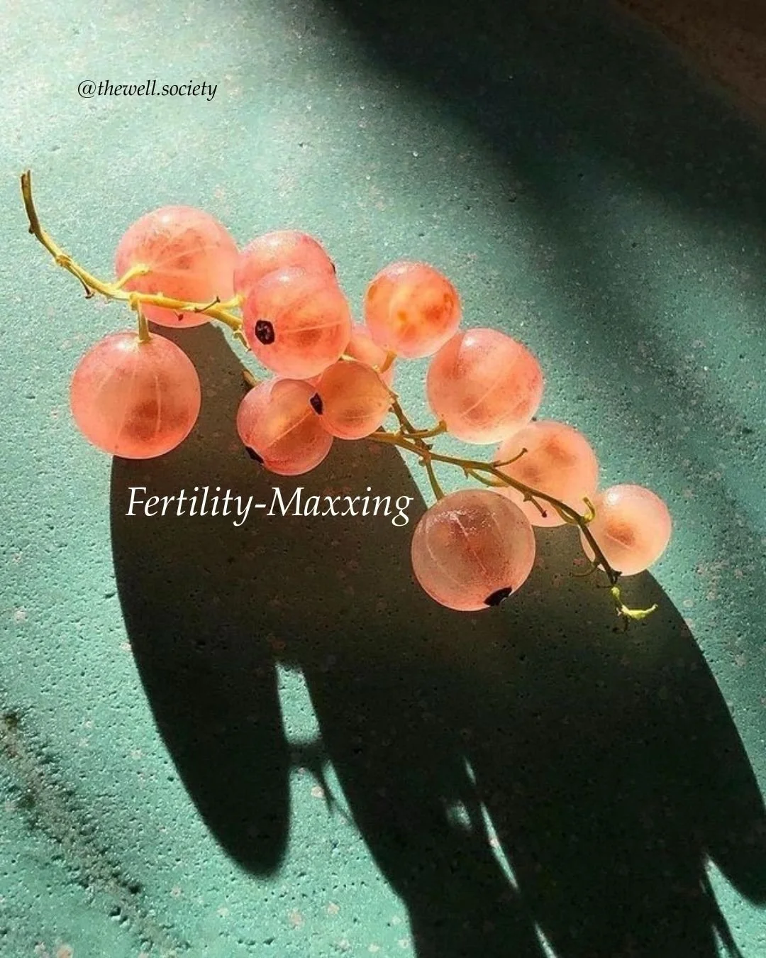 Full post available on Substack (link in bio)