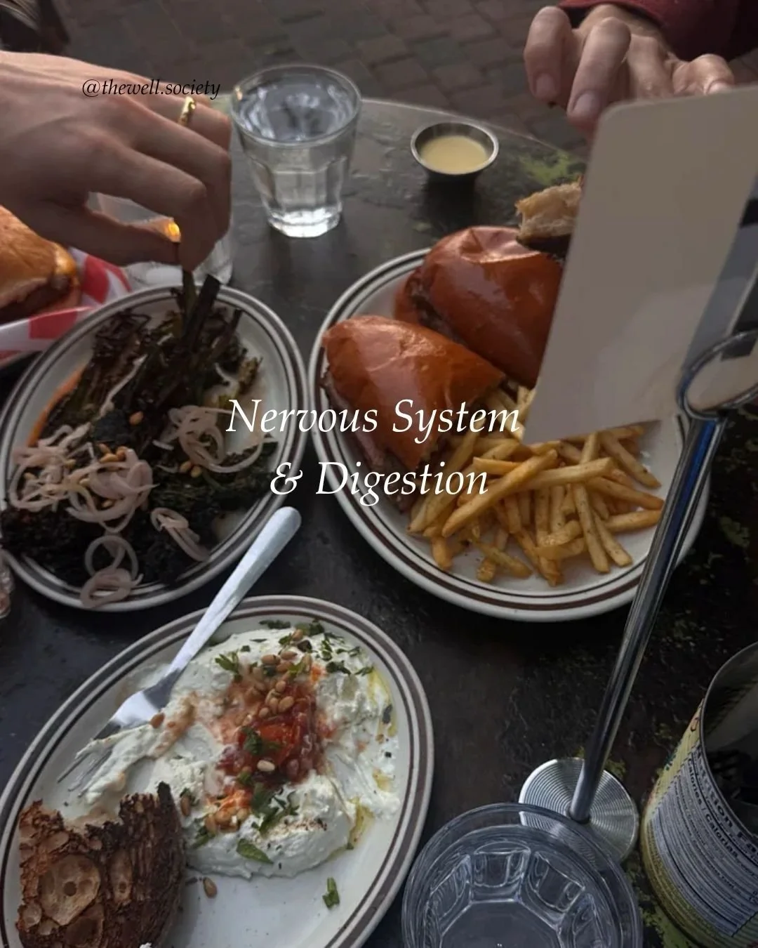 Read Full Post on Substack which includes The 7-day Nervous System Reset (link in bio)

#nervoussystem #reset #gutbrain #digestion #stress