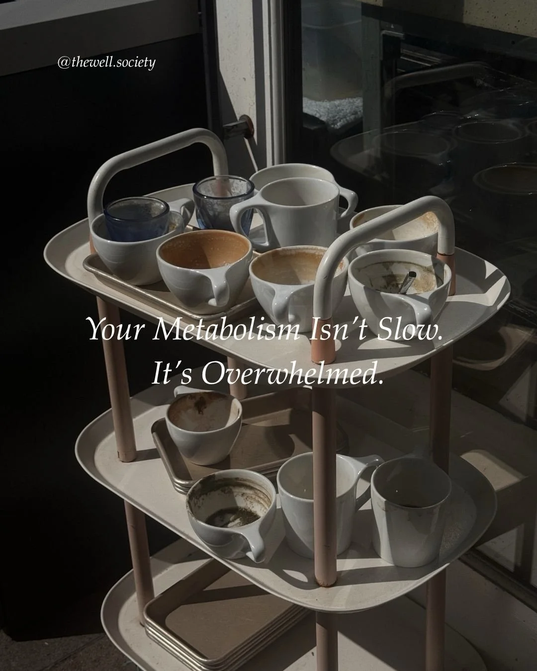 This week on Substack (link in bio)

#metabolism #metabolichealth #cortisol #bloodsugar