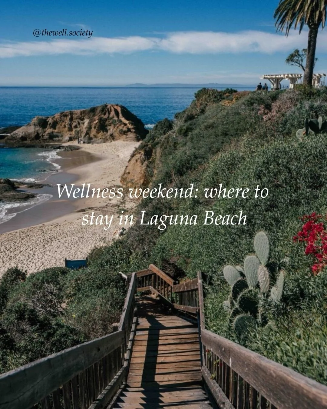 wellness weekend, but make it Laguna:

where you stay sets the tone. think soft mornings, salt air, windows open, nowhere to be. spaces that feel intentional, a little hidden, and quietly beautiful. equal parts reset and ritual.

#wellness #thewellso