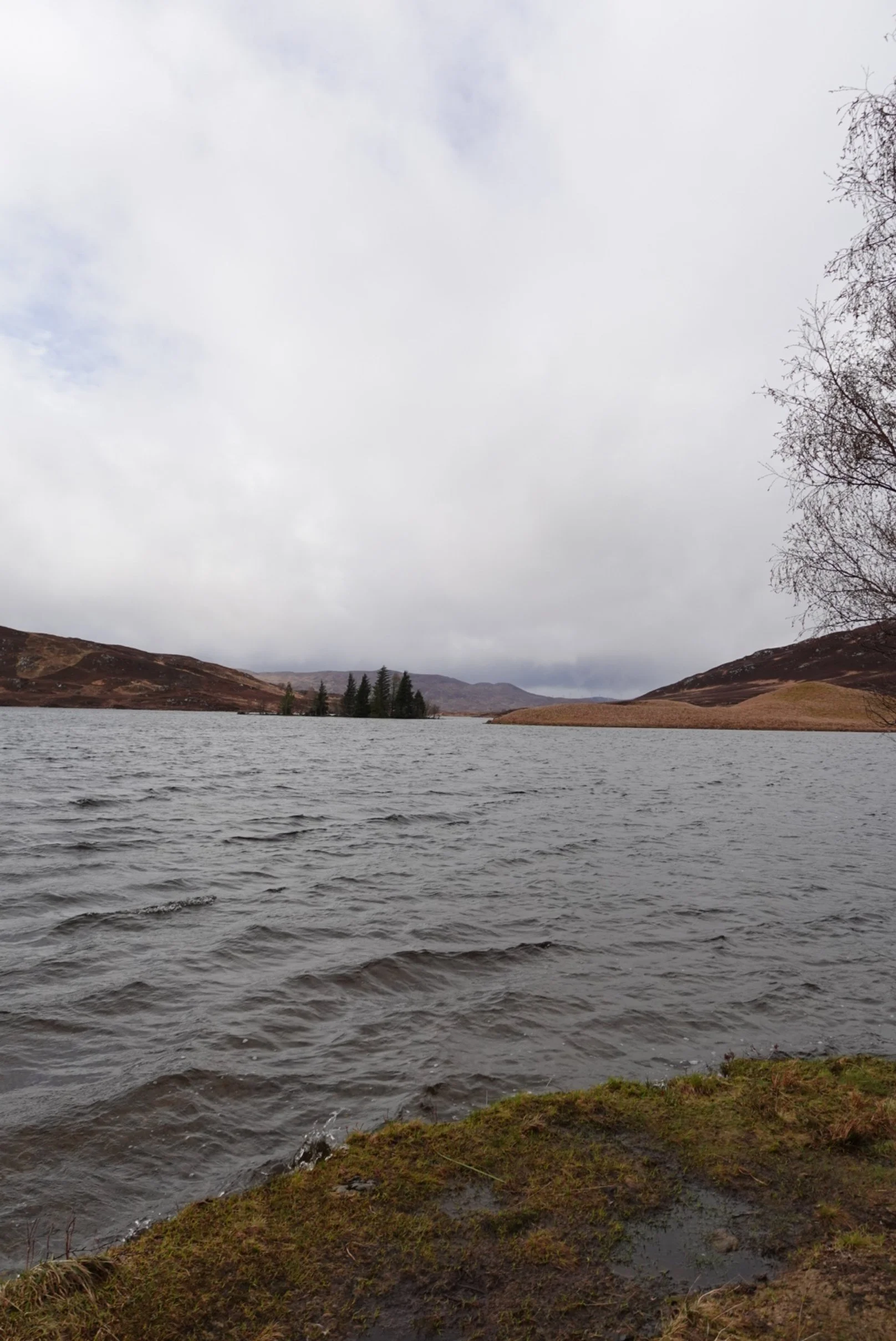 DSC01213.JPG