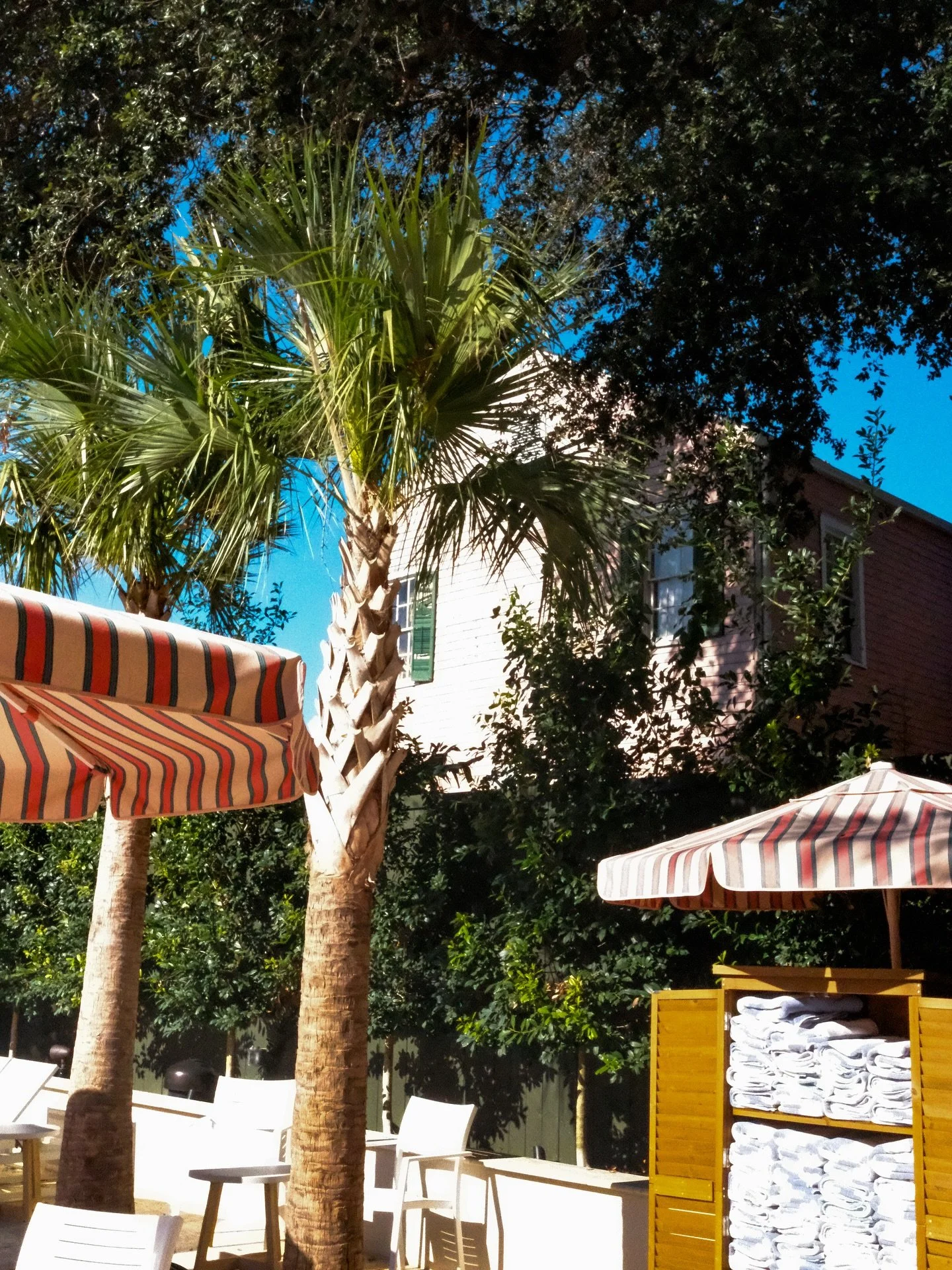 From last weekend 🖤 I love NOLA

Attended the most fun wedding. I also had the pleasure of doing their save the dates (I do save the dates if you did not know!)