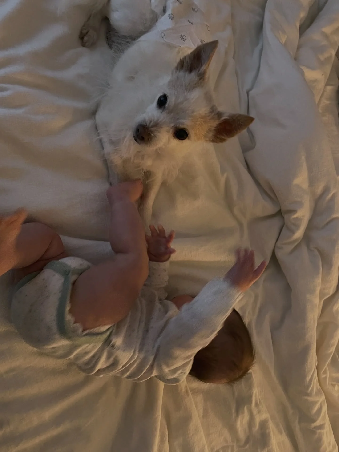 Let me not get too emo on this post, but 2025 was the best year of my life 🩵