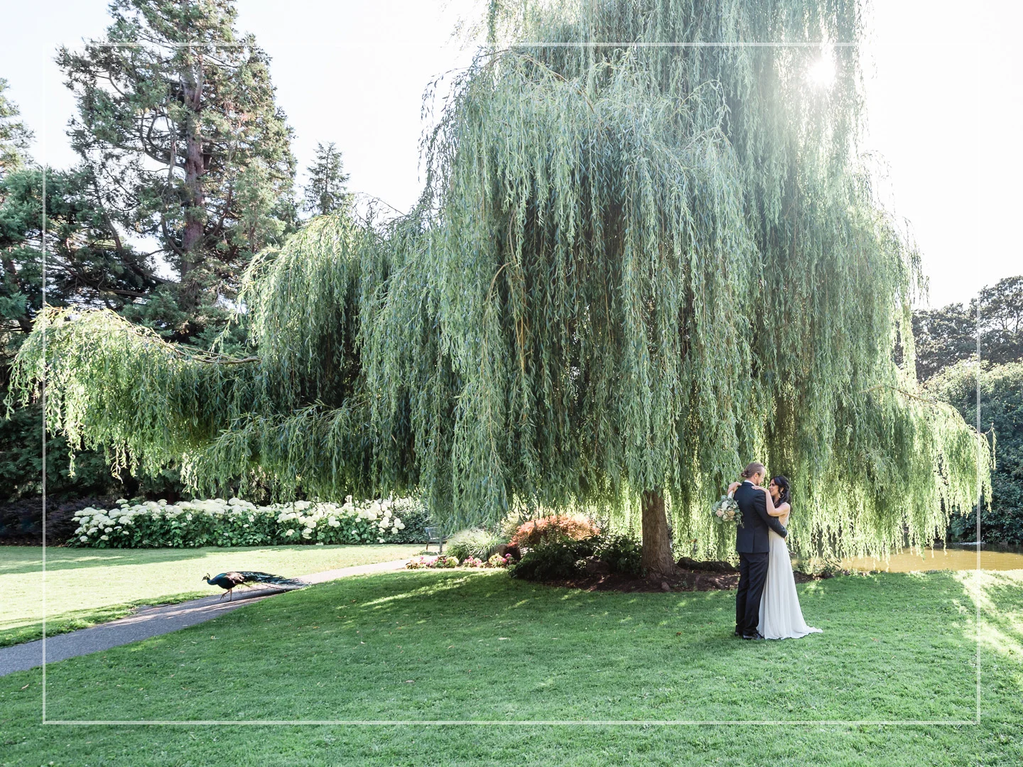 Kara + David | Wedding | Beacon Hill Park
