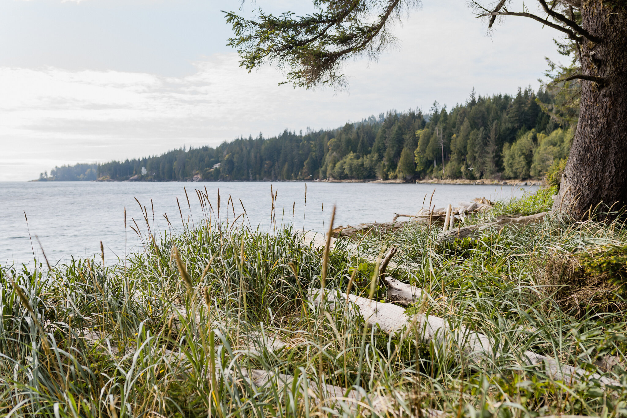 0 French Beach Sooke Wedding Photography 027.JPG