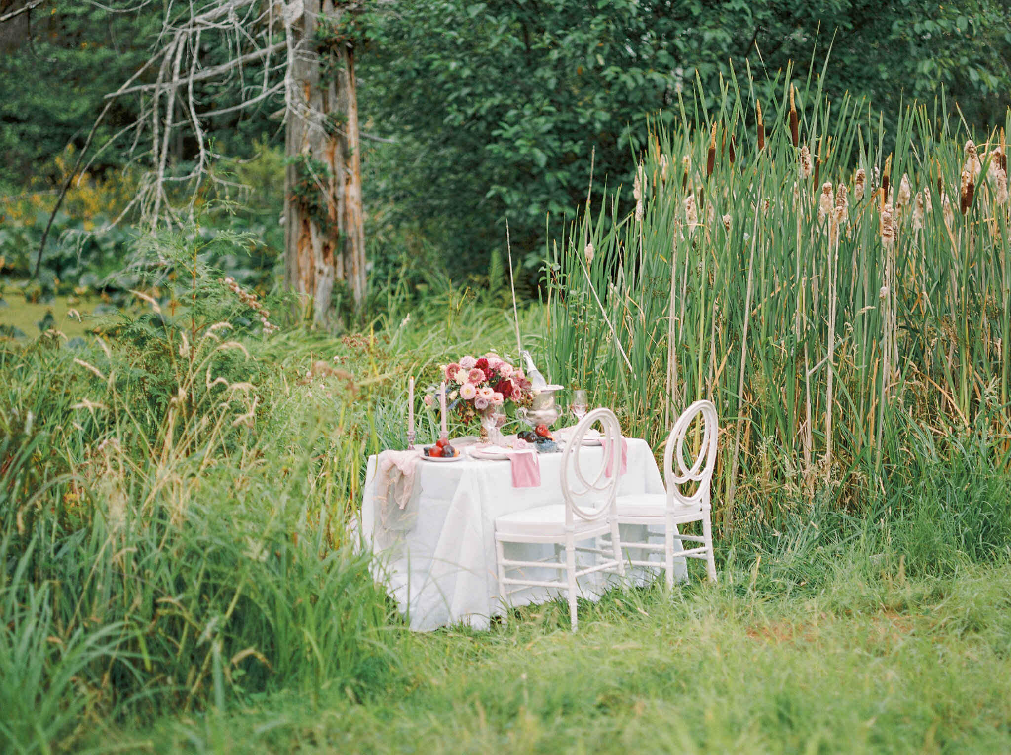 Summer Backyard Wedding Reception Photography 002.JPG