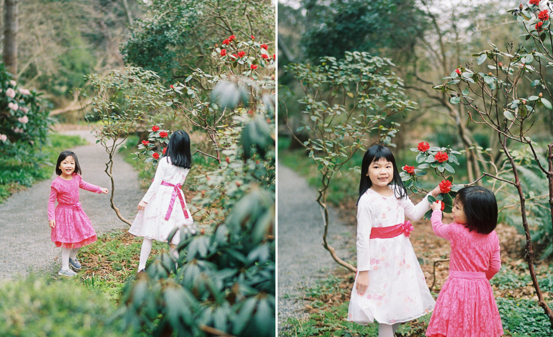 Victoria BC spring film family photography 007.JPG