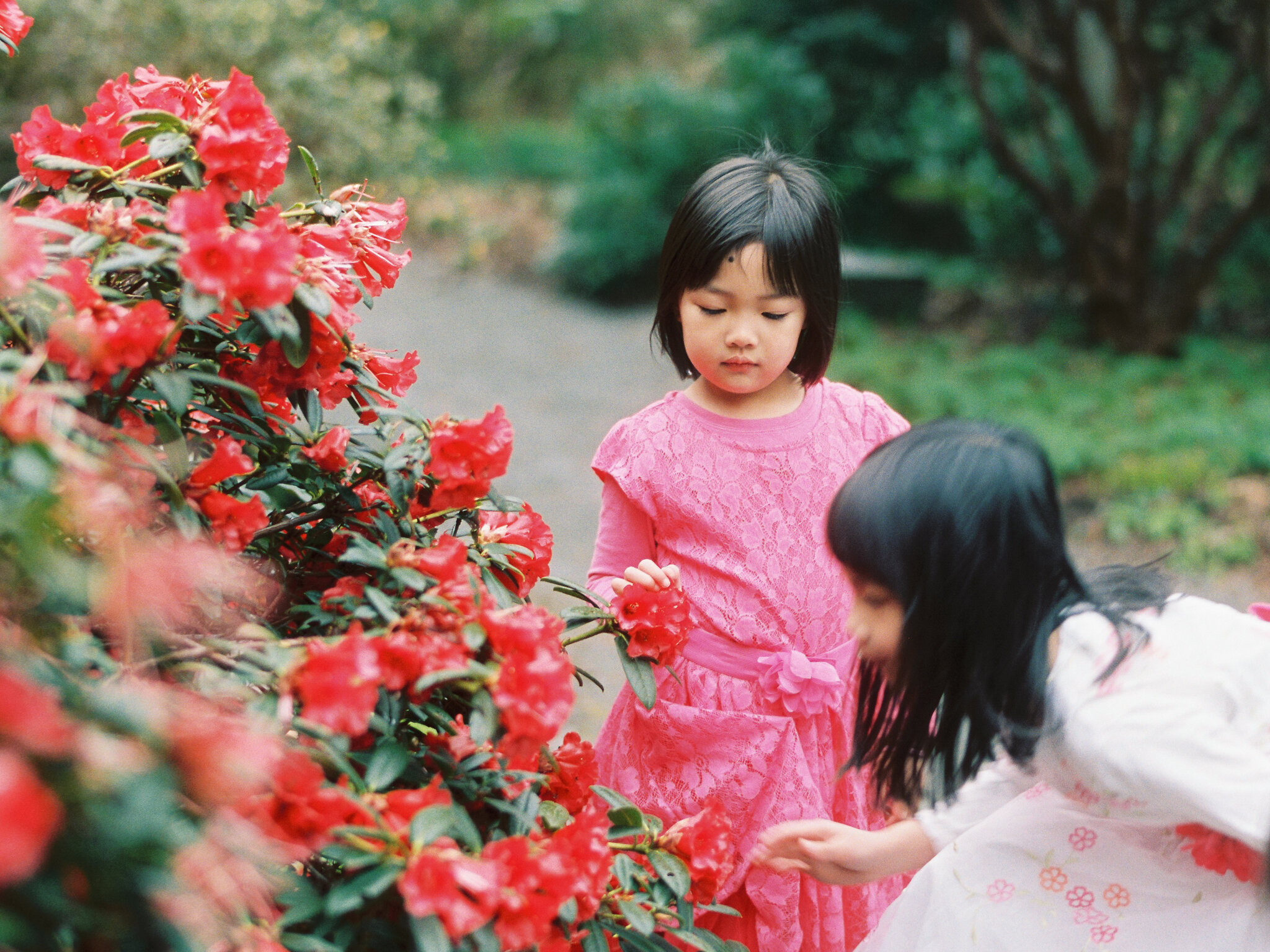Victoria BC spring film family photography 010.JPG