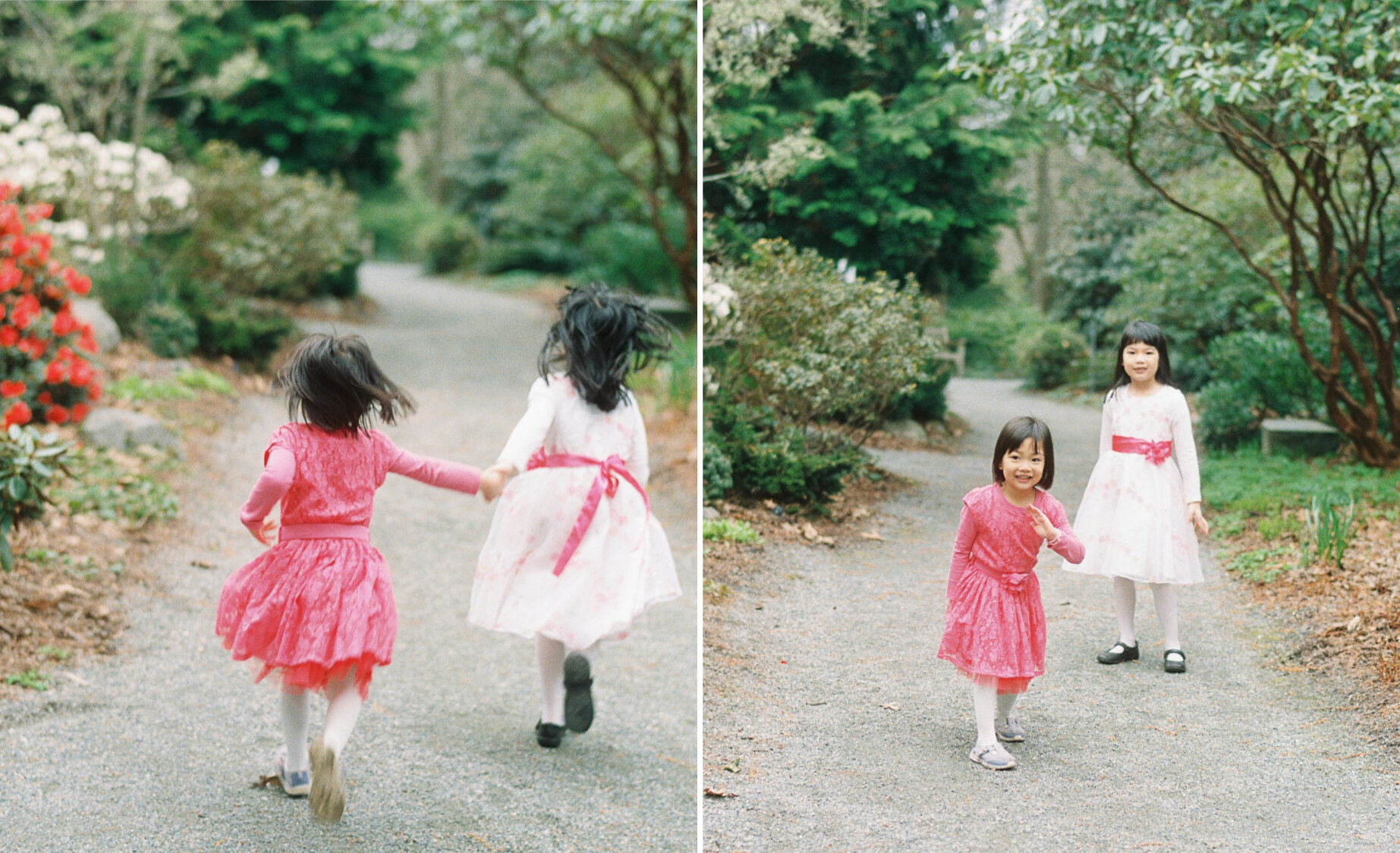Victoria BC spring film family photography 015.JPG
