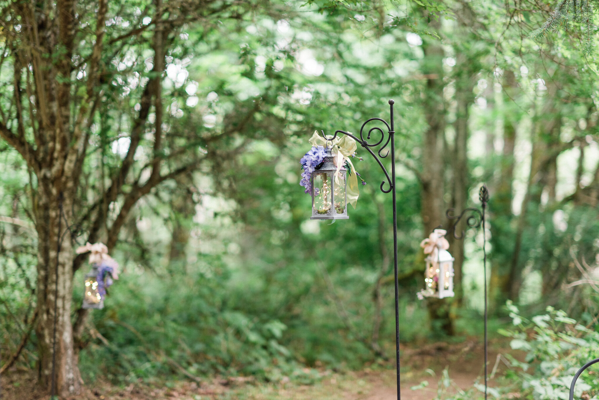 Bilston Creek Lavender Farm wedding photography 039.JPG
