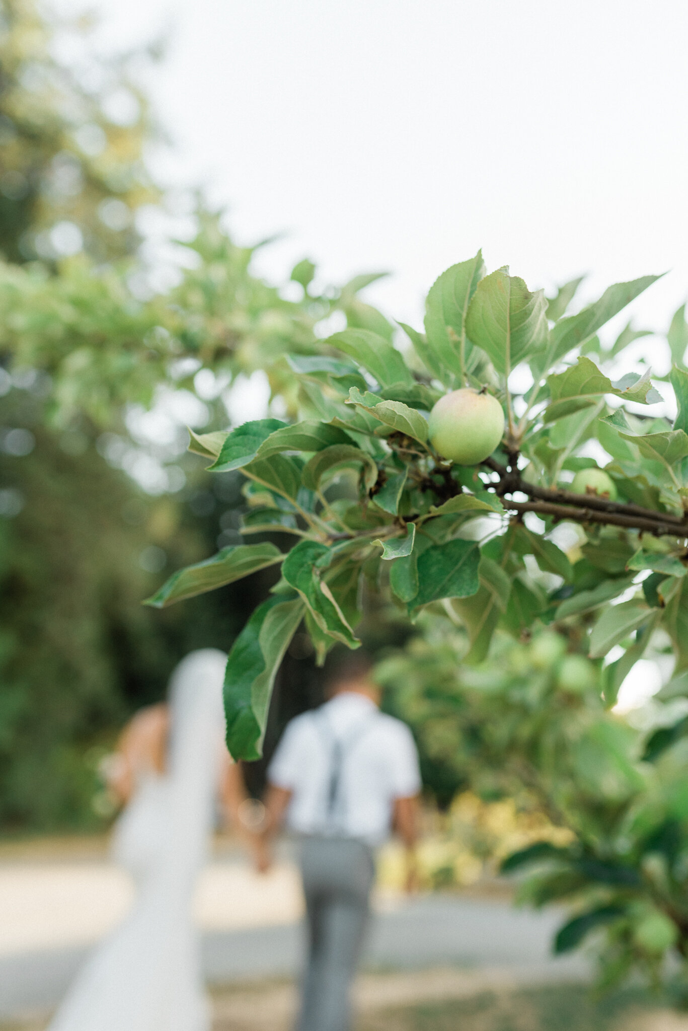 1 Sea Cider Intimate Wedding Photography 2021 083.JPG