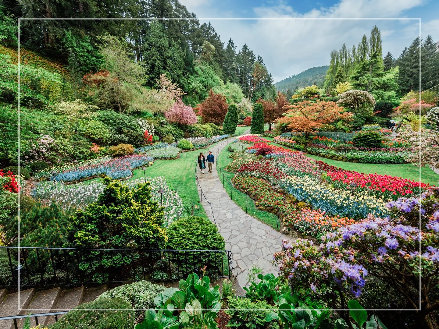 Lily + Garrett | Proposal | Butchart Gardens 