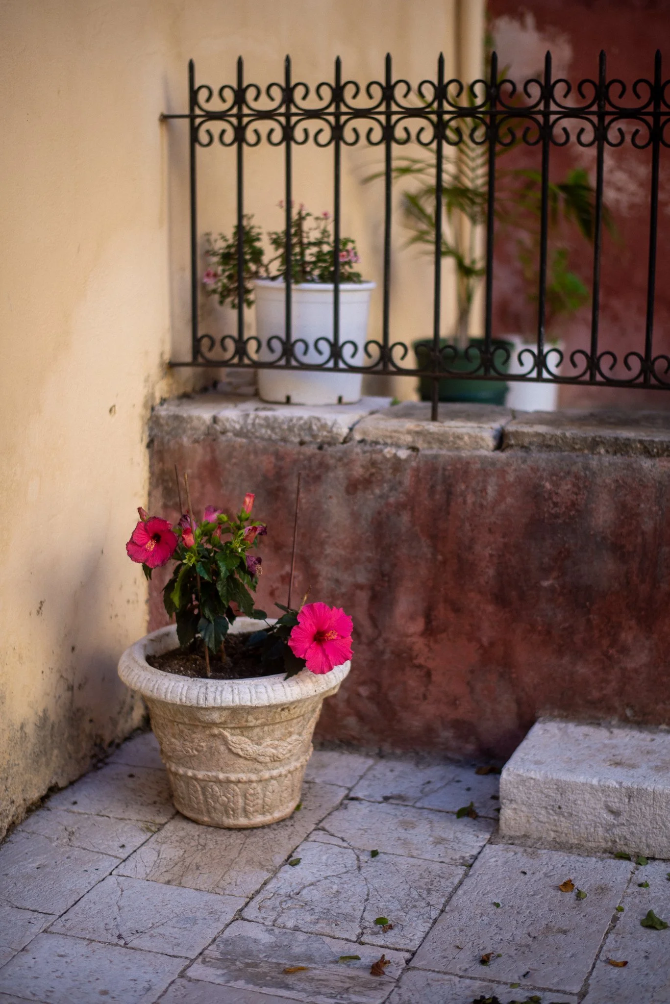 Corfu Old Town Family Photography 02.JPG