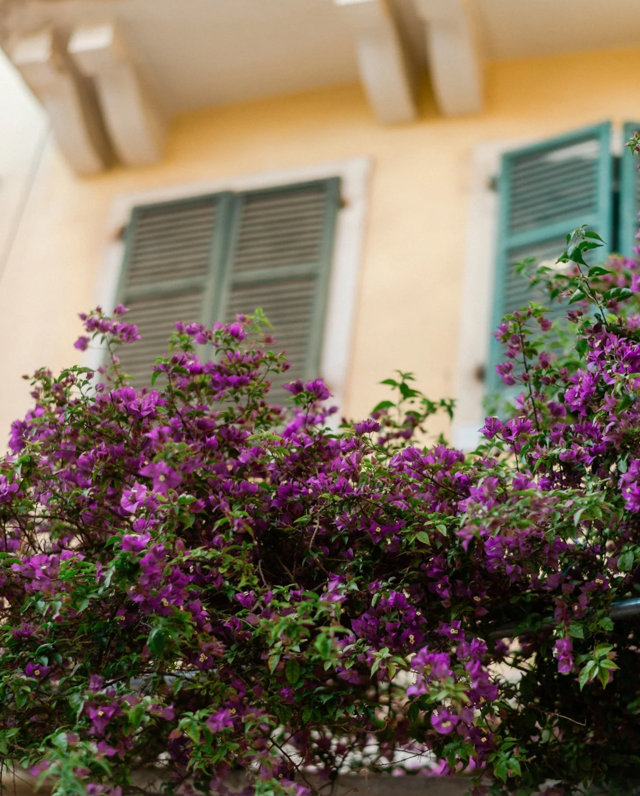 Corfu%2BOld%2BTown%2BFamily%2BPhotography%2B03.png