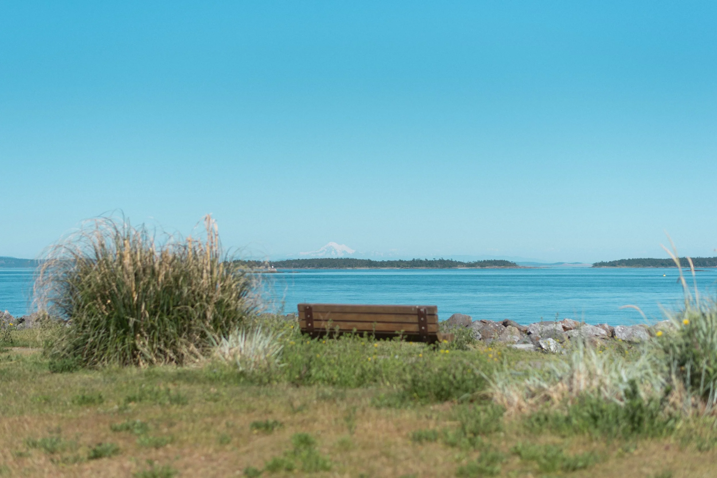 surprise-proposal-photography-victoria-bc 35.JPG