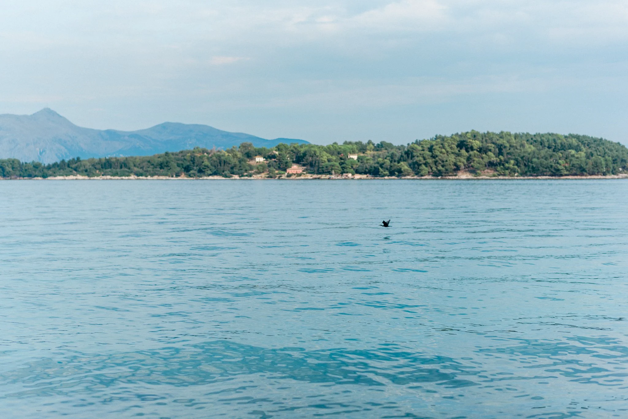 Corfu Greece Family Travel Photography Session 29.JPG