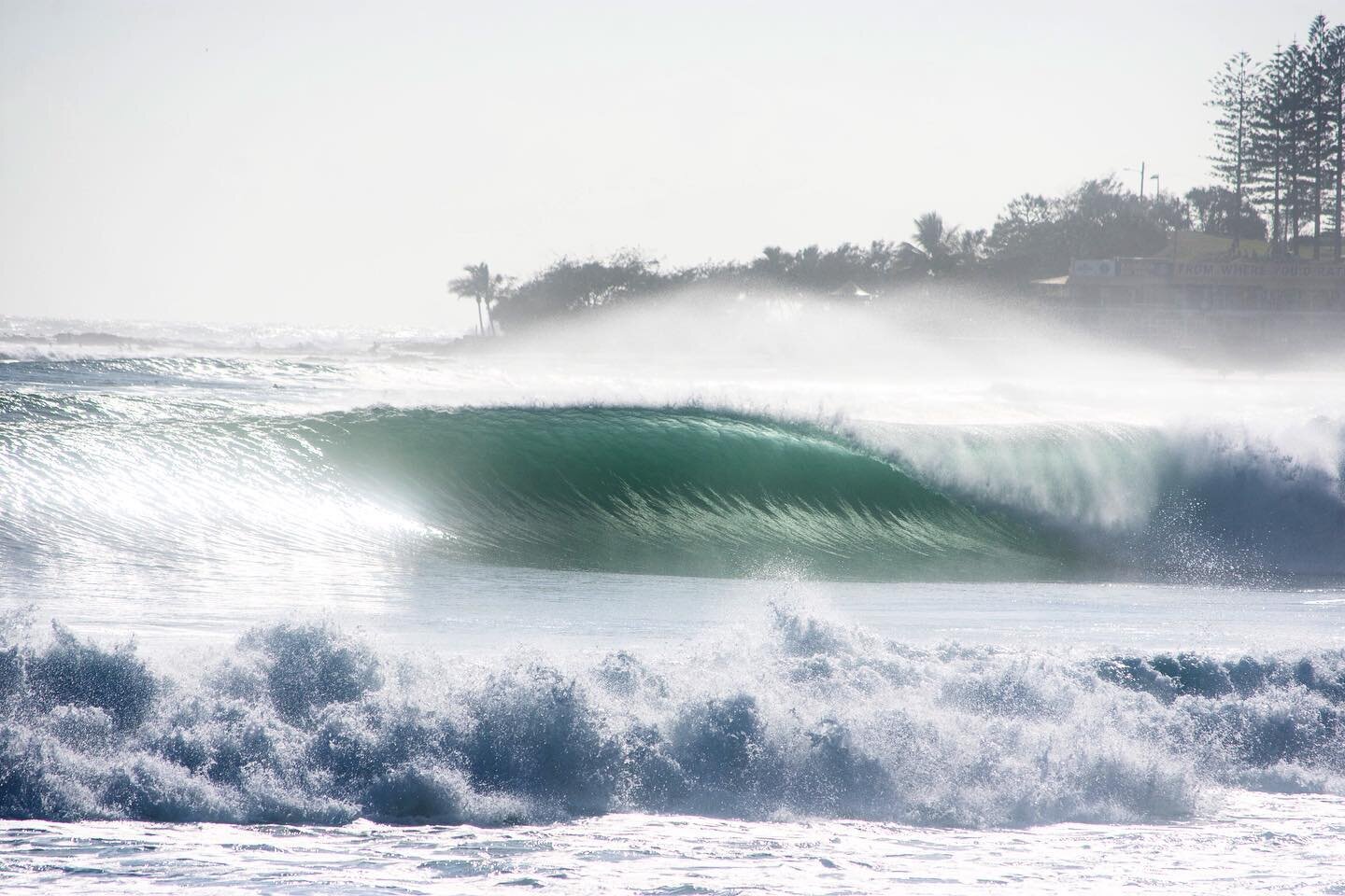 Dreamy Greeny! 📷