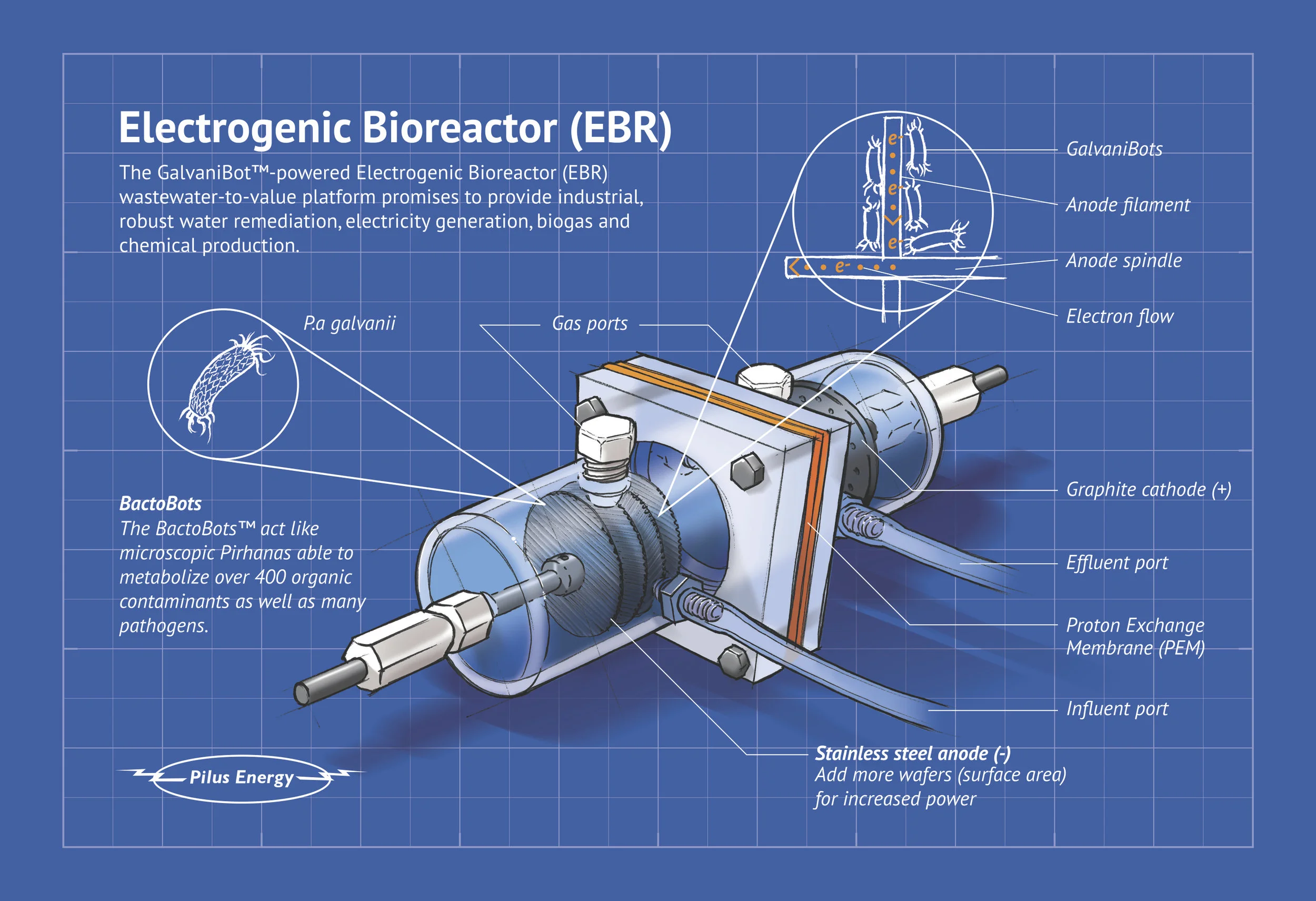 Pilus EBR reactor infographic print v2-4traz copy.jpg