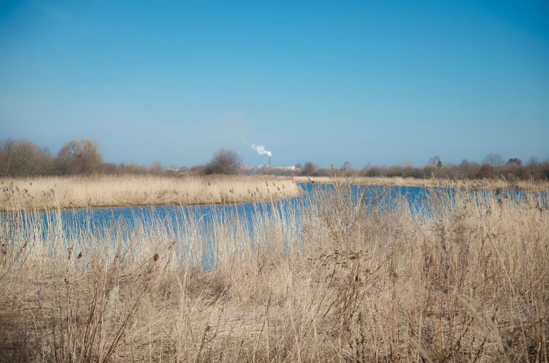 OutsideRiga-290316_040-008.jpg