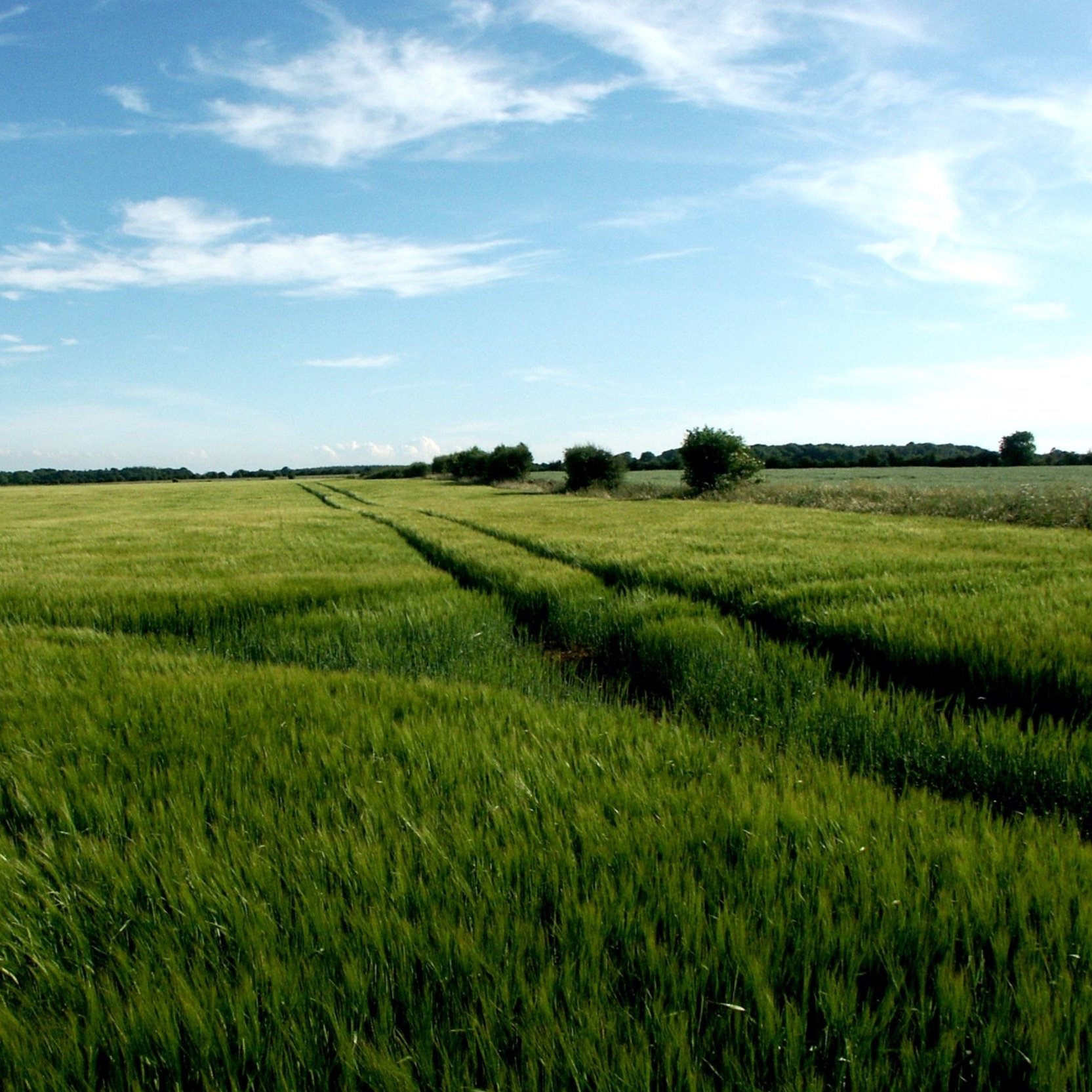 Fields, Meadows &amp; Countryside