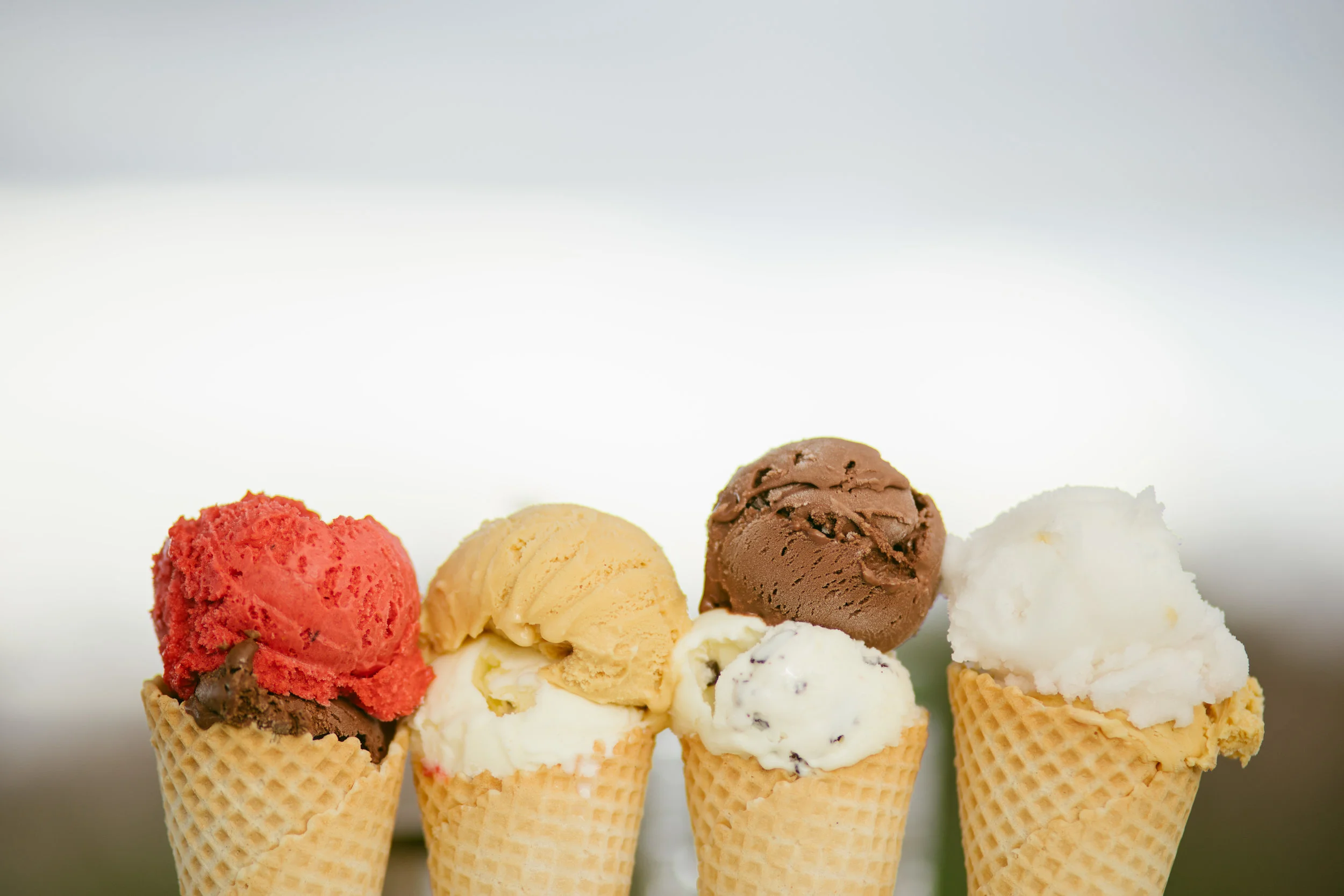 Image by  The Woods Photography