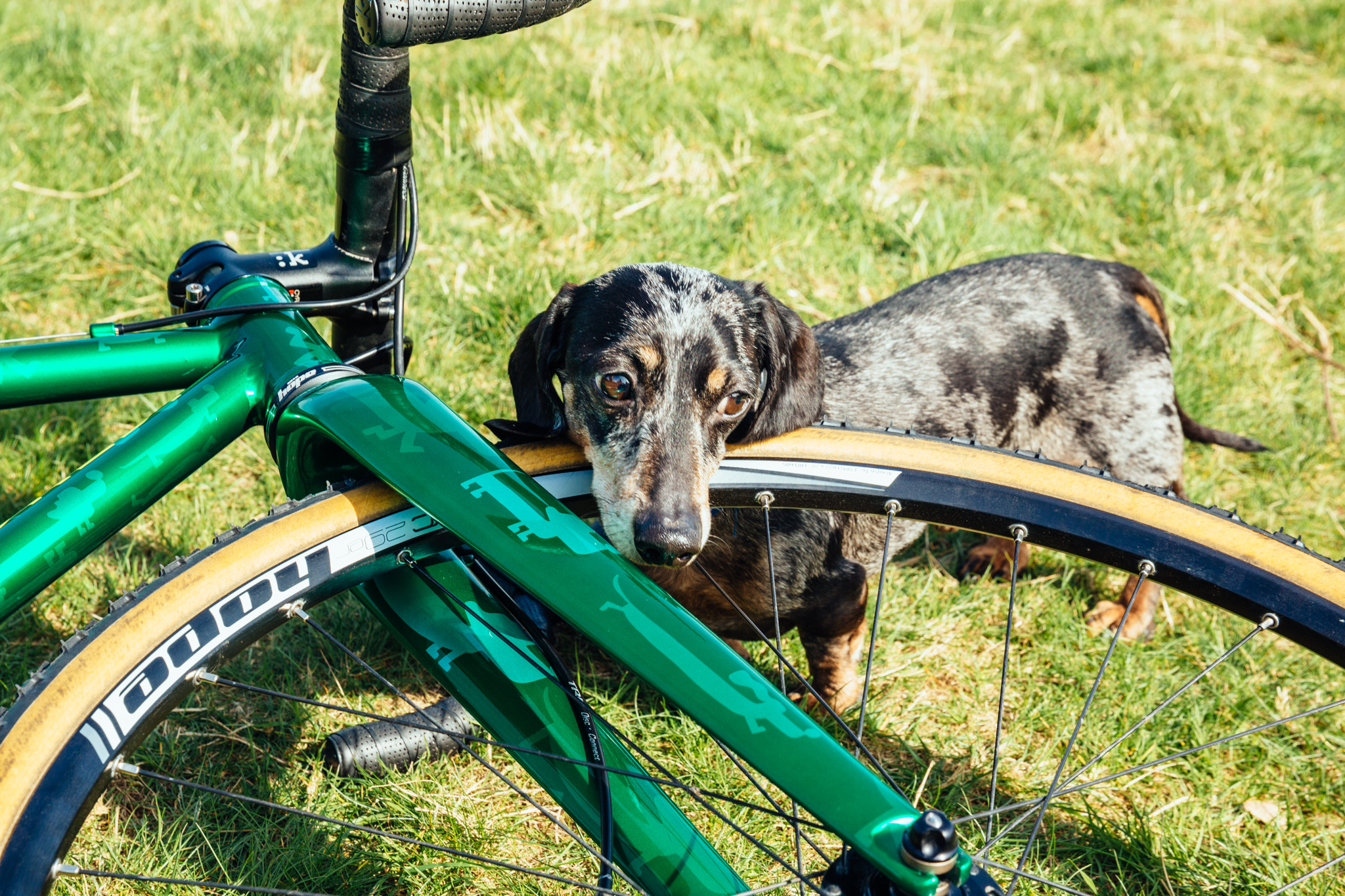 Mercredi-Sausage-Camo_GJS_0957.jpg