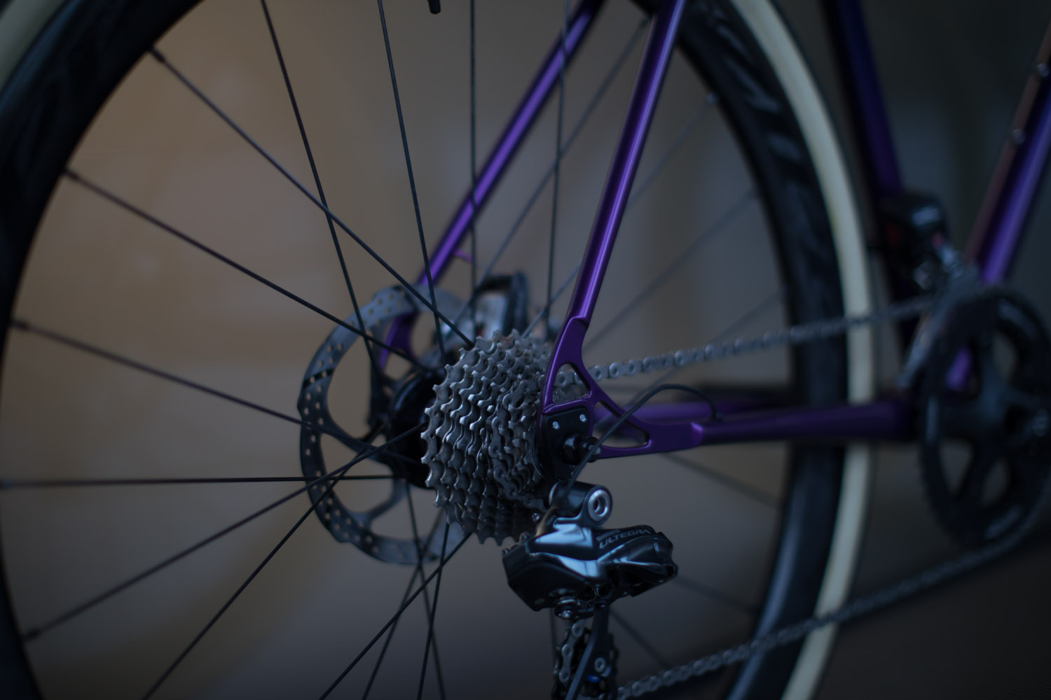 quirk_cycles_chris_CX_beauty_06.jpg