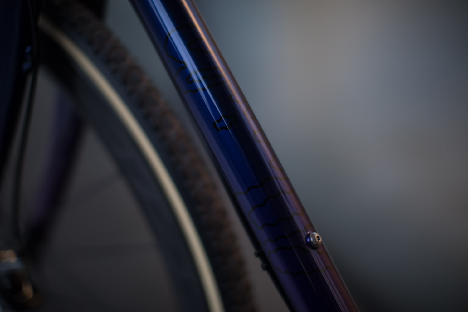 quirk_cycles_chris_CX_beauty_10.jpg