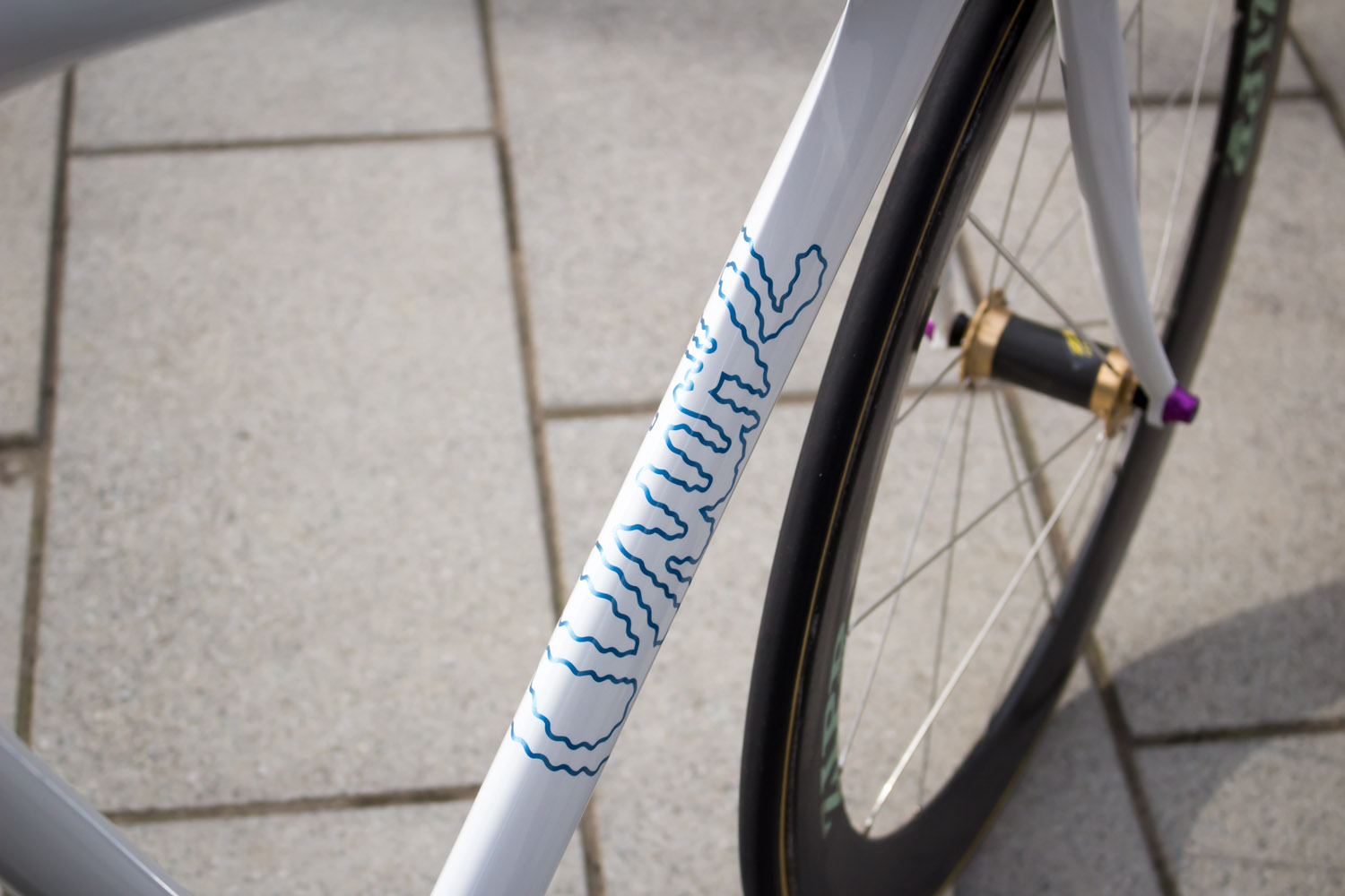 quirk_cycles_jack_track_pursuit_16.jpg