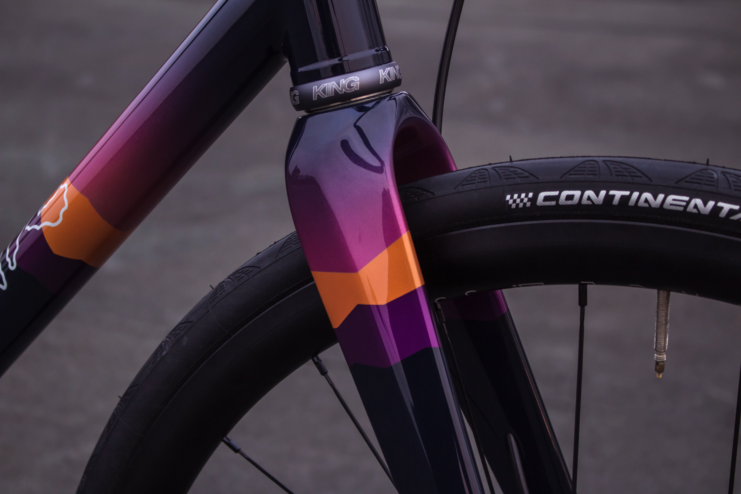 quirk_cycles_peters_alpenglow_all_road_06.jpg