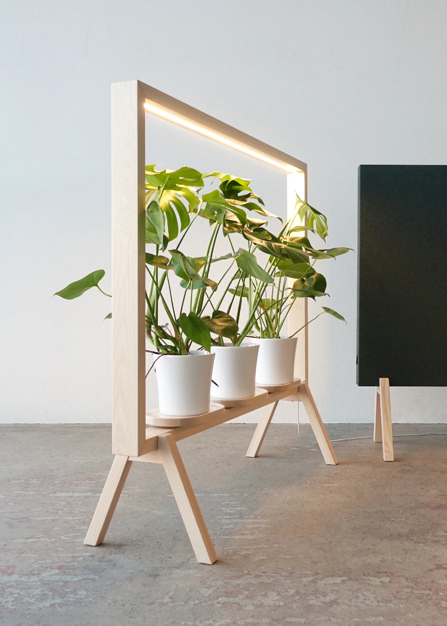A mixture of room divider, green furniture and luminaire in solid wood.