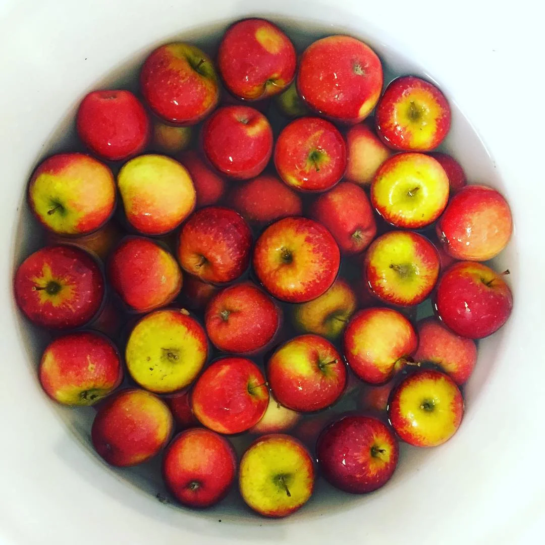 Spa de Pommes JUS RECOLT.jpg