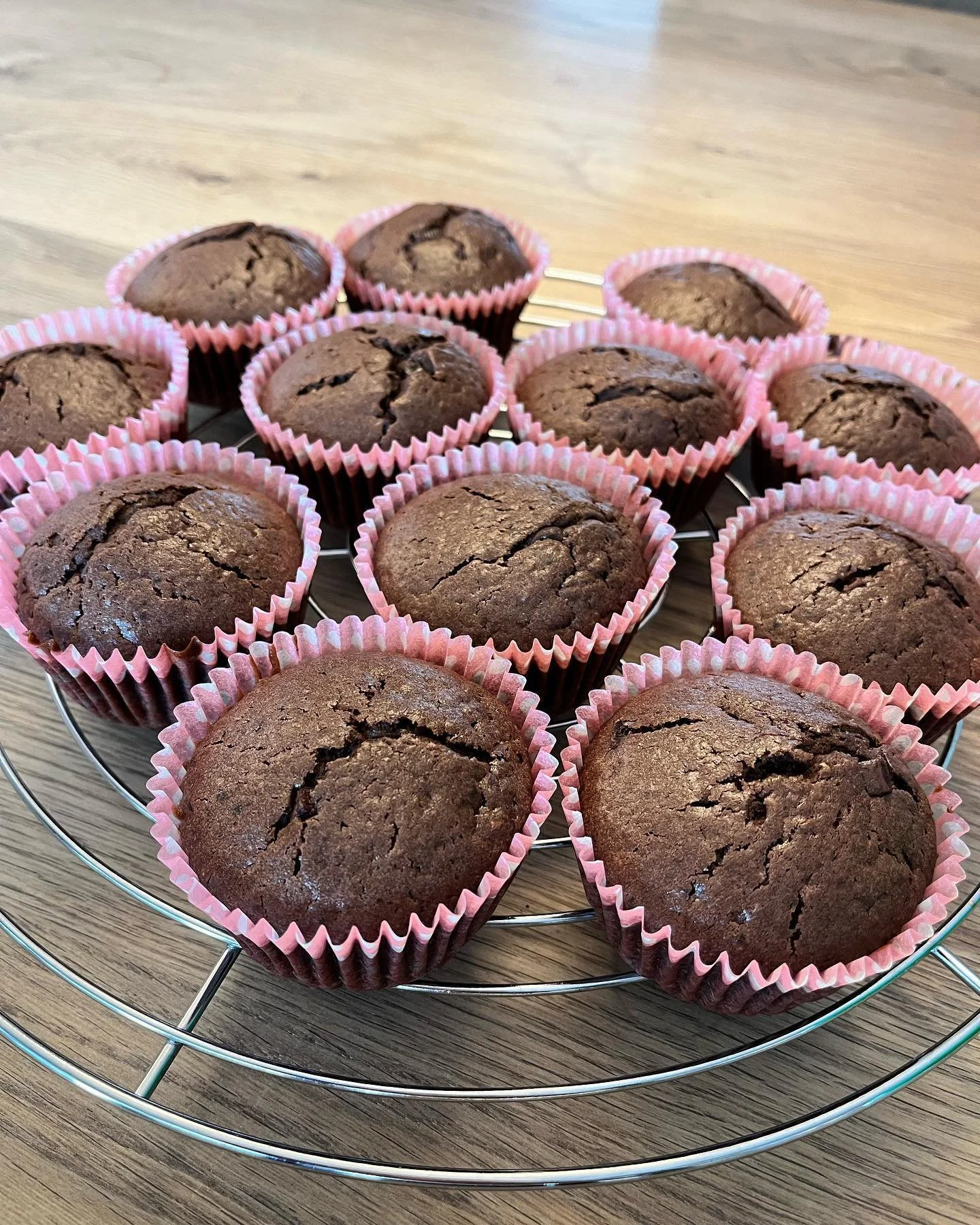 Schoggige Schoggimuffins