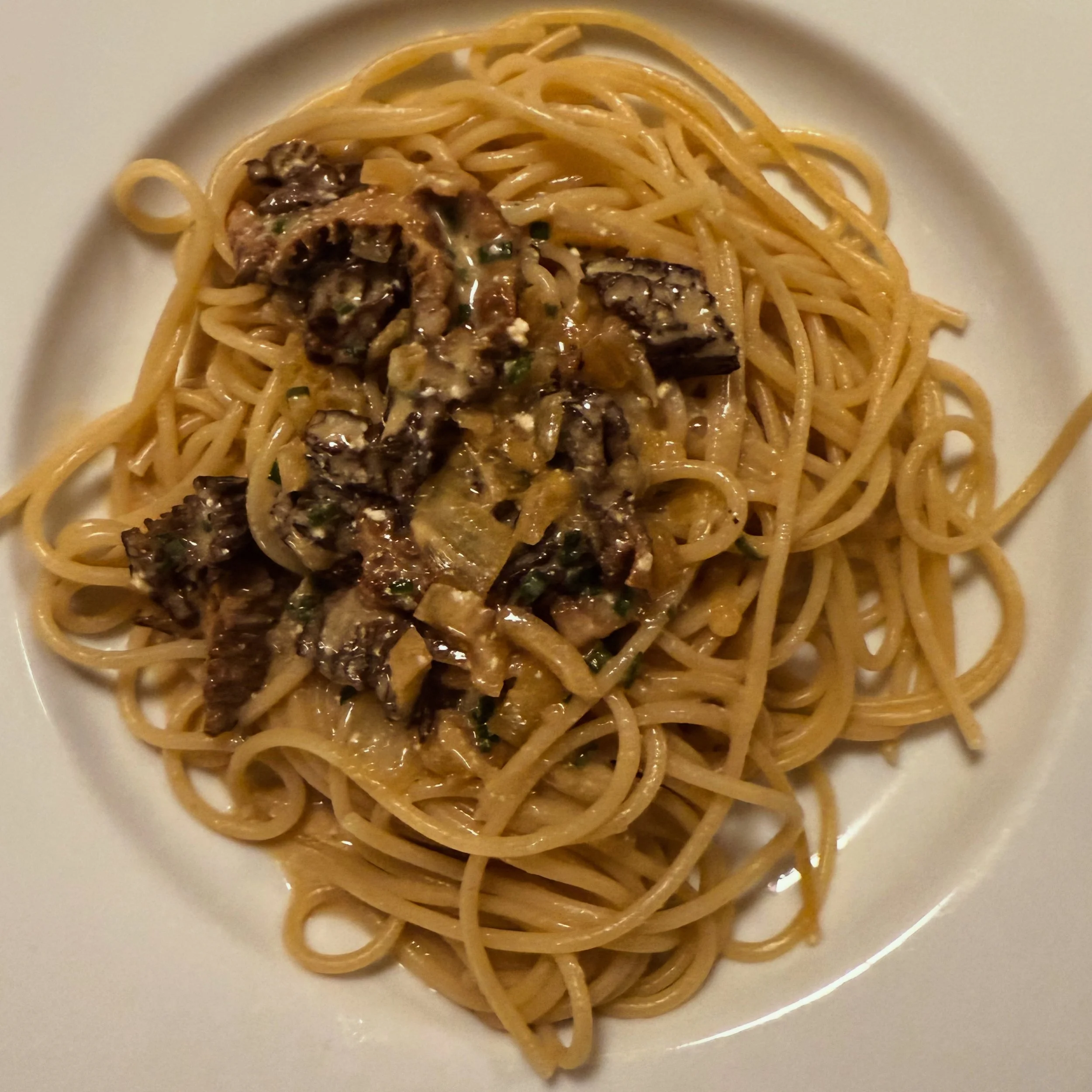 Spaghetti mit Morchelrahmsauce