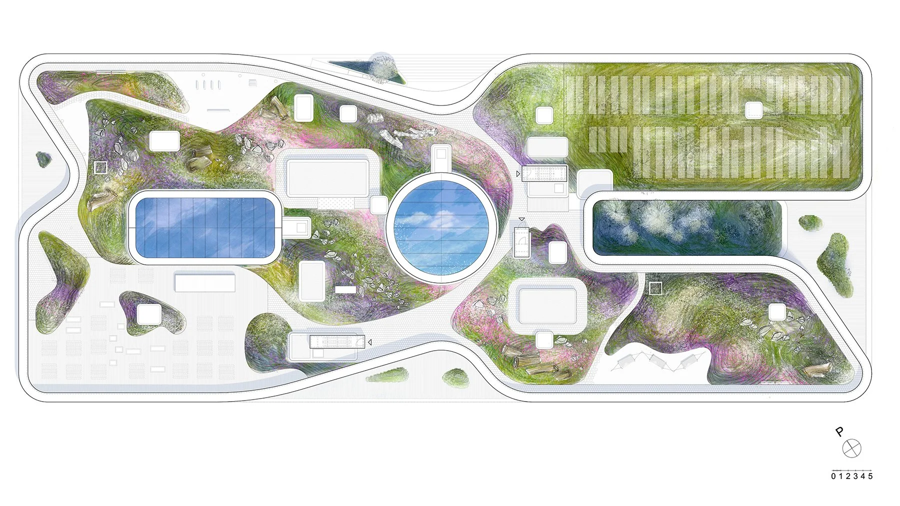  Visualisation with crayons and digital painting, plan for Katajanokanlaituri rooftop garden.  Nomaji Landscape architects Ltd / Illustrator 