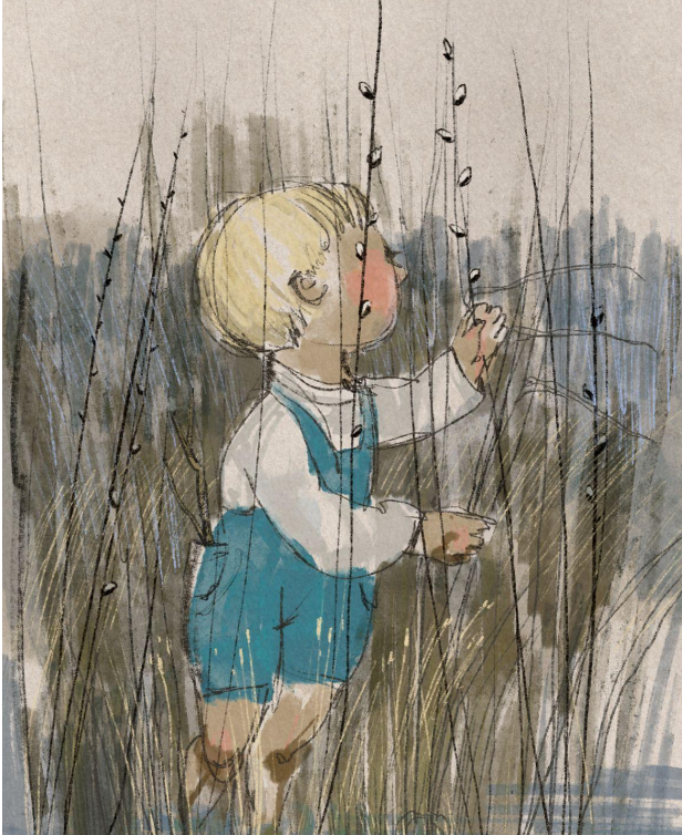   Pajupoika  illustration and animation 