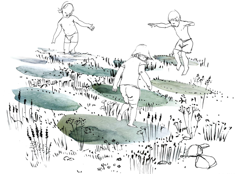  Illustrations for a landscape plan.  Nomaji Landscape architects Ltd / Assisting landscape designer 